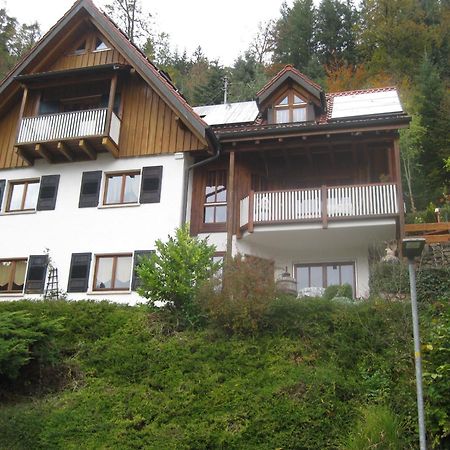 Urlaub Mit Blick Auf Schiltachs Fachwerkhaeuser Buitenkant foto